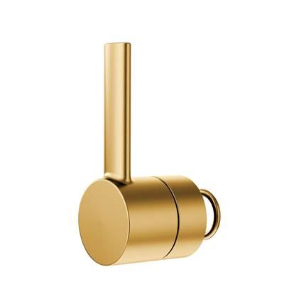 Moen HANDLE LEVER & O-RING BG - Brushed Gold by Moen