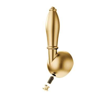 Moen HANDLE LEVER, SCREW & PLUG BUTTON BG - Brushed Gold by Moen