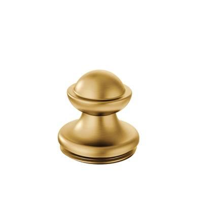 Moen SPOUT CAP BG - Brushed Gold by Moen