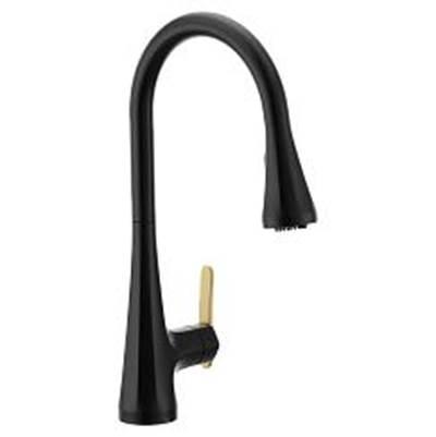 Matte Black One-Handle Pulldown Kitchen Faucet
