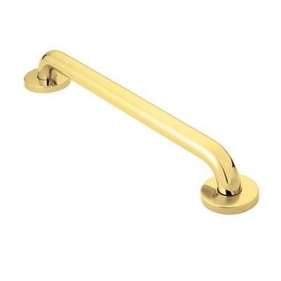 Polished Brass 24'' Concealed Screw Grab Bar