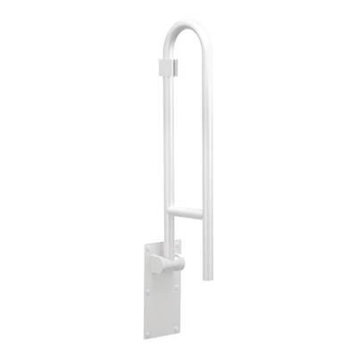 Moen Glacier 30'' Flip Up Grab Bar by Moen