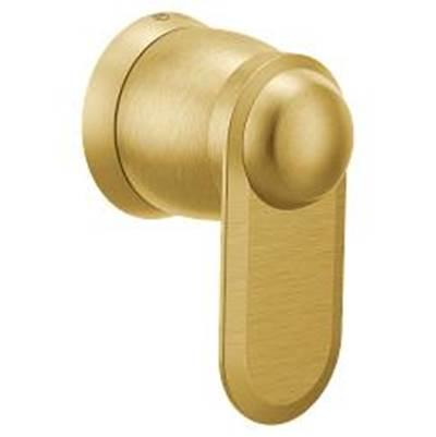 Moen Brushed gold volume control by Moen