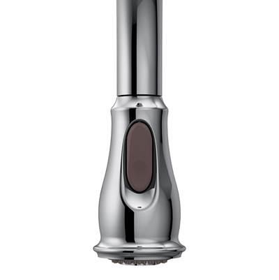 Moen PULLDOWN WAND CHR 1.5GPM - Chrome by Moen