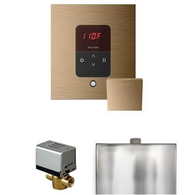 Mr. Steam Basic Butler Steam Shower Control Package with Square Itempo Control and Steamhead in -...