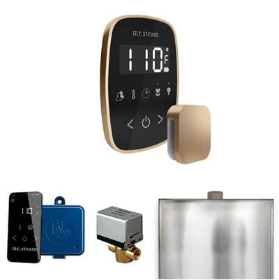 Mr. Steam Butlerflex Steam Shower Control Package with Tempoflex Control and Steamhead in Black... by Mr. Steam