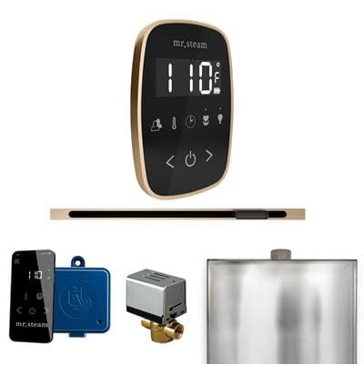 Mr. Steam Butlerflex Steam Shower Control Package with Tempoflex Control and Linear Steamhead in... by Mr. Steam