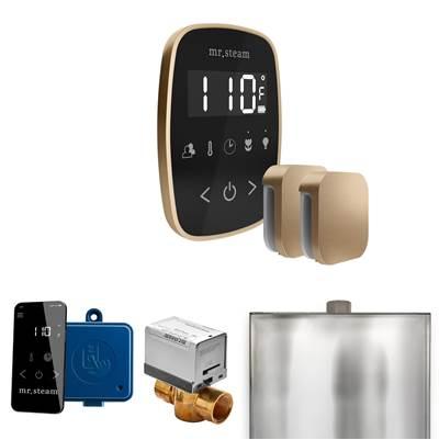 Mr. Steam Butlerflex Max Steam Shower Control Package with Tempoflex Control and Steamhead in... by Mr. Steam