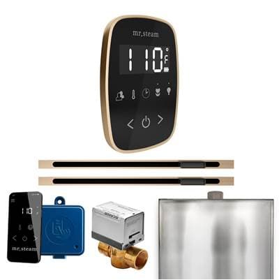Mr. Steam Butlerflex Max Steam Shower Control Package with Tempoflex Control and Linear Steamhead... by Mr. Steam