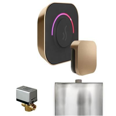 Mr. Steam Butlertouch Steam Shower Control Package with Tempotouch Control and Steamhead in -...