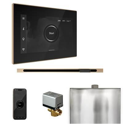 Mr. Steam Xbutler Steam Shower Control Package with Isteamx Control and Linear Steamhead in Black... by Mr. Steam