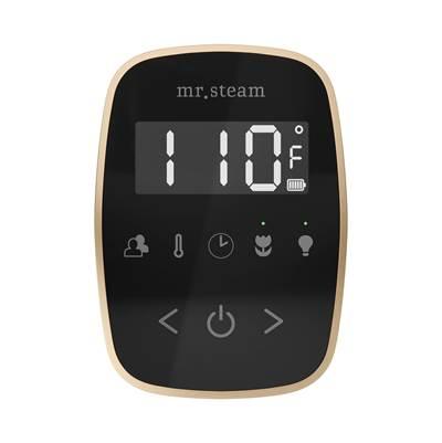 Mr. Steam Tempoflex Steam Shower Control and Steamhead in Black Brushed Bronze - Black with...