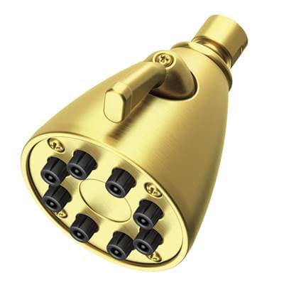 Newport Brass Other Single Function Shower Head - Satin Brass Pvd