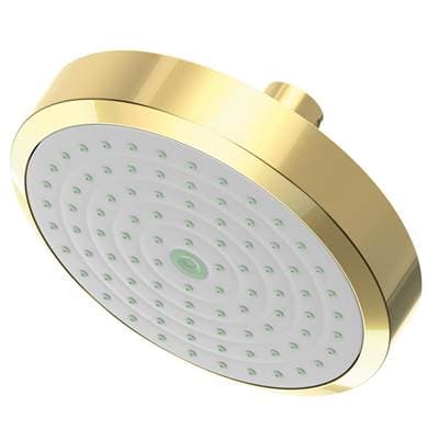 Newport Brass Other Single Function Shower Head - Forever Brass Pvd