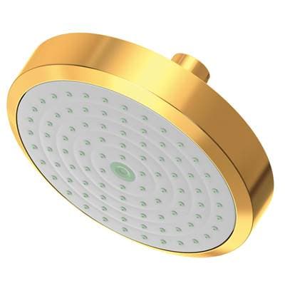 Newport Brass Other Single Function Shower Head - Aged Brass by Newport Brass