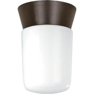 1 Light Utility Ceiling Mount