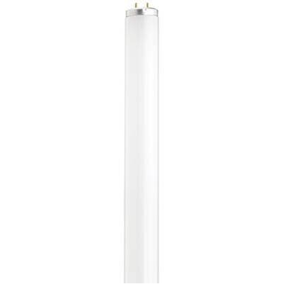 Satco F14t12/cw - Frost
