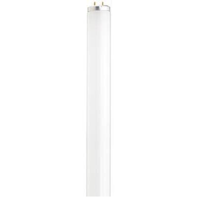 Satco F15t12/cw - White by Satco