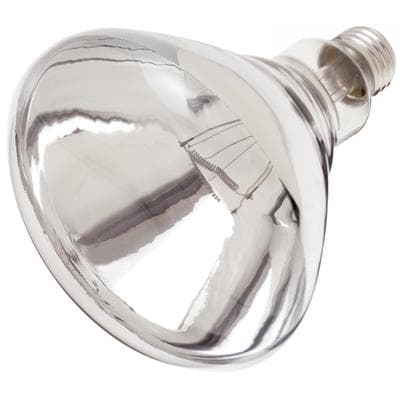 Satco 250R40/1/TF Shatter Clear - Clear Heat