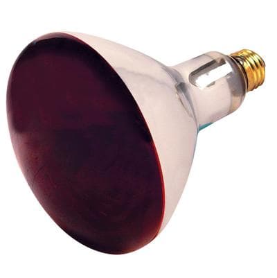 Satco 250R40/HR RED Infrared HEAT LA - Red Heat by Satco