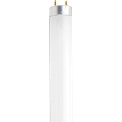 Satco F13t8/cw Generic 12IN 304MM - Frost