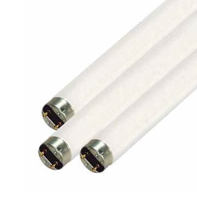 Satco F15t8/warm - White by Satco