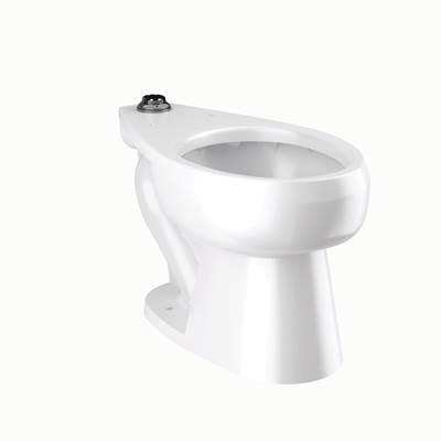 ST2029A CLOSET FIX ASM FM TS UNIV CO by Sloan