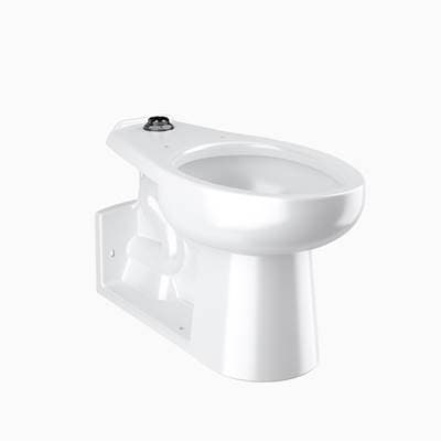 Sloan St2229a Closet FIX ADA FM TS RO Univer by Sloan