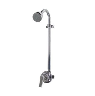 Speakman Sentinel Mark II Exposed Shower System with S-2272-e2 Shower Head - N A by Speakman