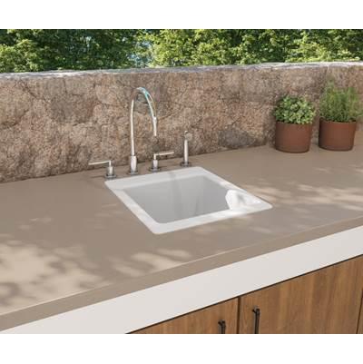 DIT-S 17 x 20 Veritek Dual Mount Small Utility Sink in White by Swan