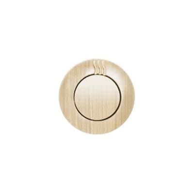 Thermasol Notouch Contemporary Steamhead - Antique Brass by ThermaSol