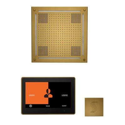 Thermasol the Wellness Hydrovive Steam Package with 10'' Thermatouch Square - Antique Brass
