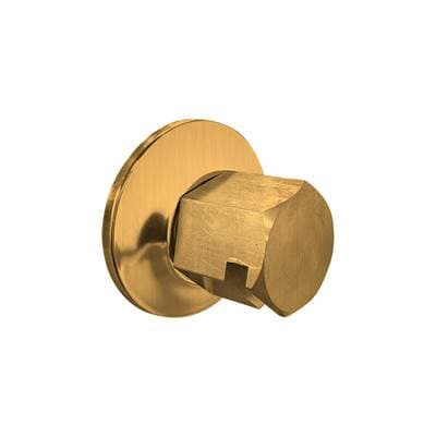 Thermasol Traditional 3/4'' Style Steam Head - Antique Brass by ThermaSol