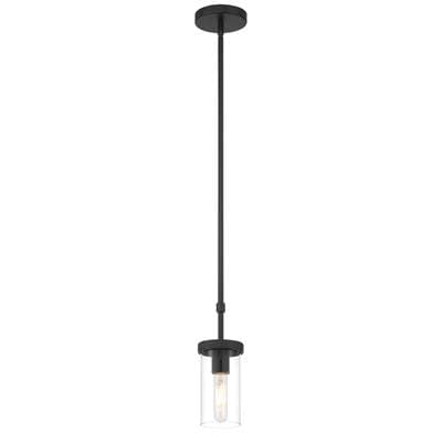 1 Light Pendant