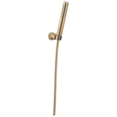 Universal Showering Components 2-Setting Hand Shower with ProClean Spray - Wall Mount Lumicoat Champagne Bronze