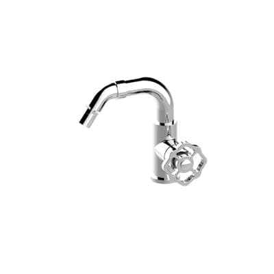 Bidet Faucet