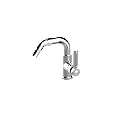 Bidet Faucet