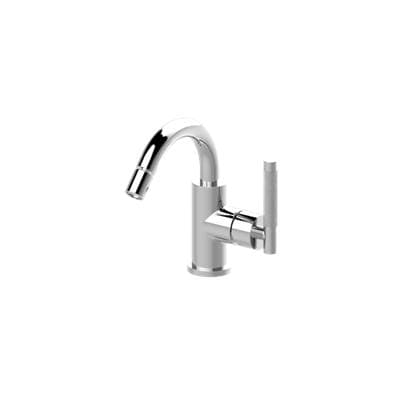 Bidet Faucet