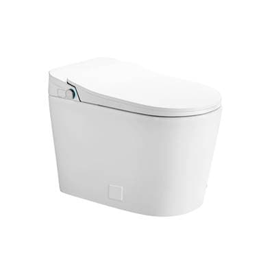 iWash CS-70 Integrated Bidet Toilet (Includes Seat, Bowl and Remote) White
