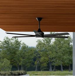 310065-BK product image