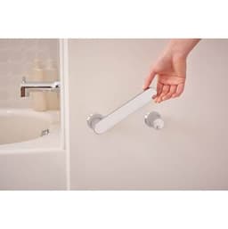 BH3808CH product image