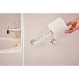 BH3808CH product image