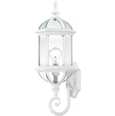 Boxwood 1 Light 22'' Outdoor Wall