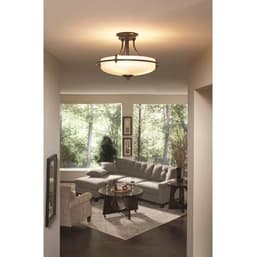 GF1717PN product image