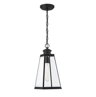 Outdoor Hanging 1 Light Matte Black