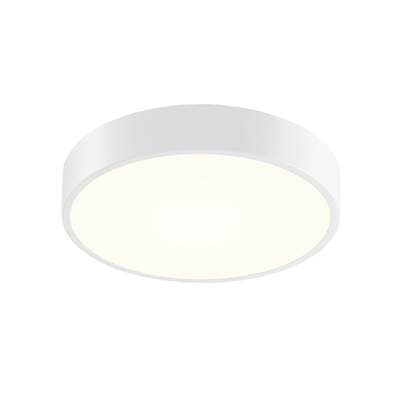 12'' LED Surface Mount