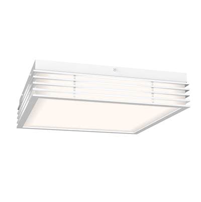14'' Square LED Surface Mount