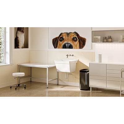 MF-WMS 22 x 23 Veritek Wall Mount Single Bowl Laundry Tub in White by Swan