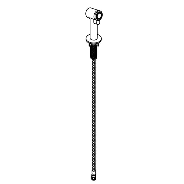 Kohler Genuine Parts SIDE Spray Assembly - Polished Chrome
