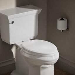 Ridgewood Quiet-CloseE elongated toilet seat - image 2